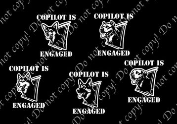 Copilot Is Engaged Car Decal