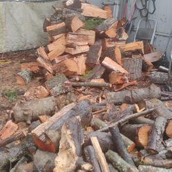FireWood