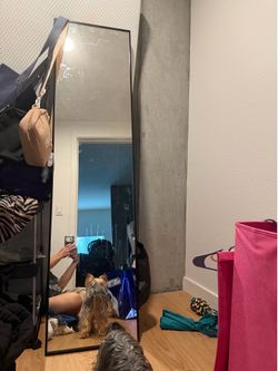 Full length standing body mirror