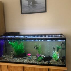60 Gallon Fish Tank With Stand And Accessories 