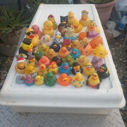 Rubber Duckies