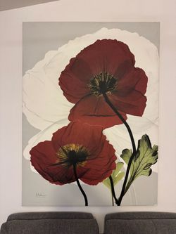 Giant Floral Canvas Wall Art Albert koetsier Signature Size 5 ft 6 inch x 4 ft 1 inch