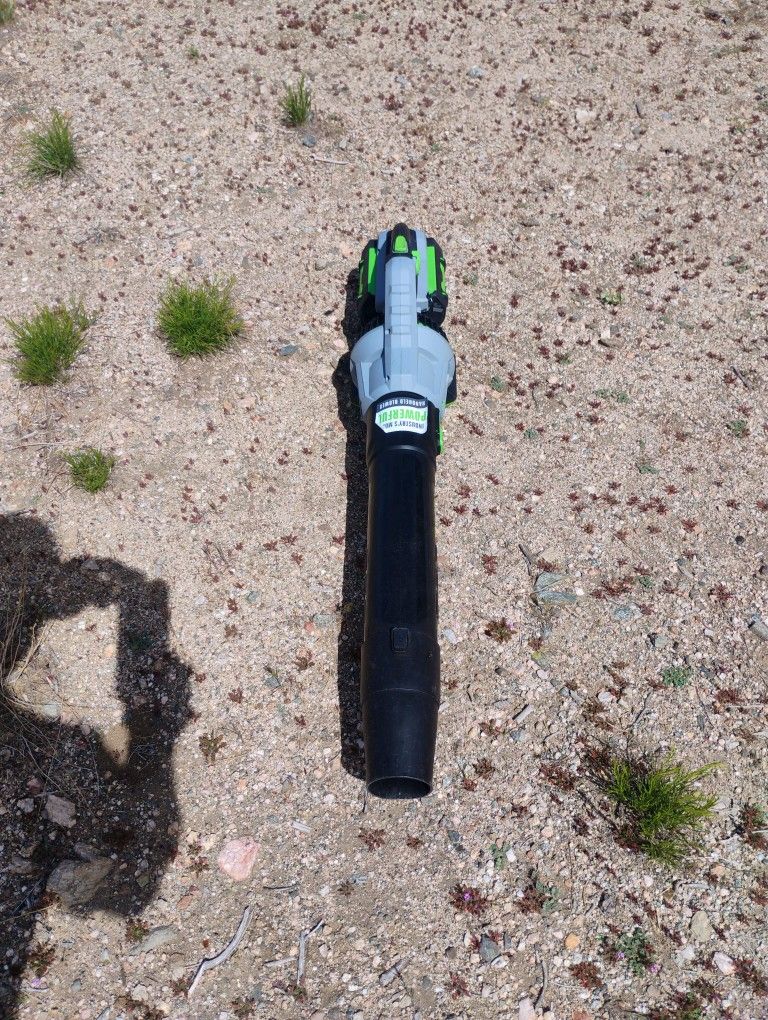 EGO Power+ Leaf Blower 56v