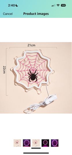 Neon Led Pink Spiderweb Sign