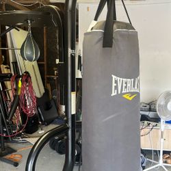 Heavy Bag And Speed Bag 
