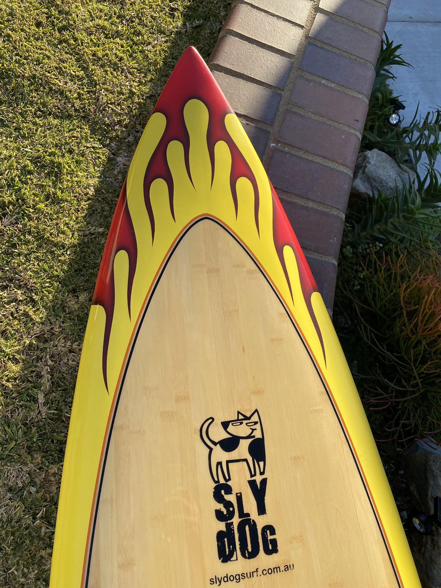 Sly Dog high performance surfboard