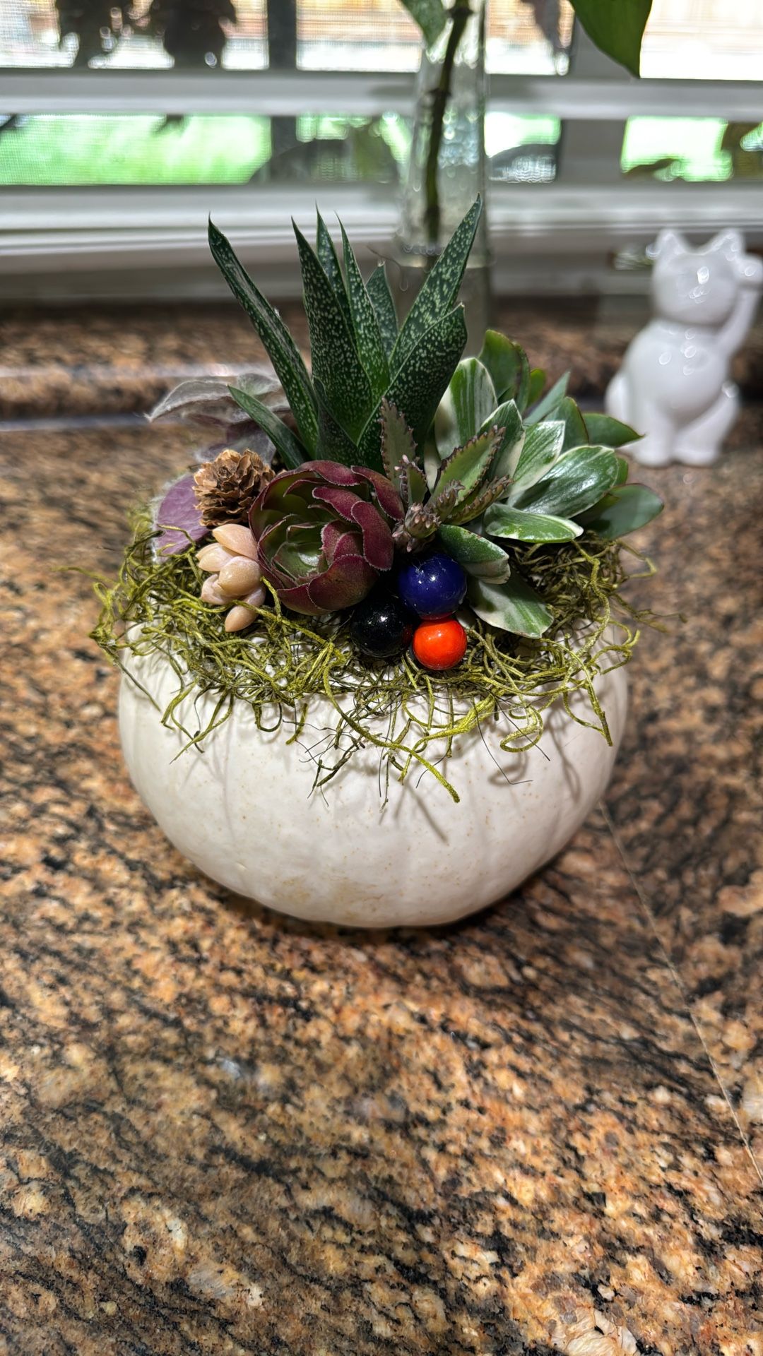 Pumpkin With Succulents 