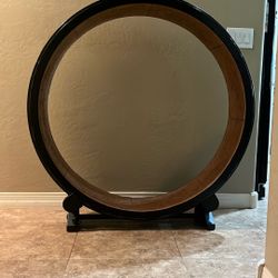 One Fast Cat Treadmill