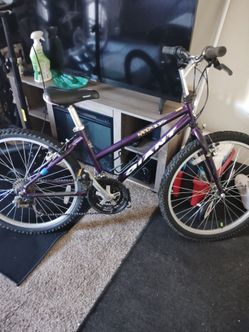 giant bike