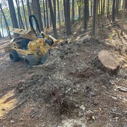 STUMP GRINDING 