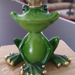 Frog Prince 