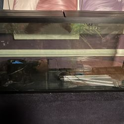 55 Gallon Fish Tank