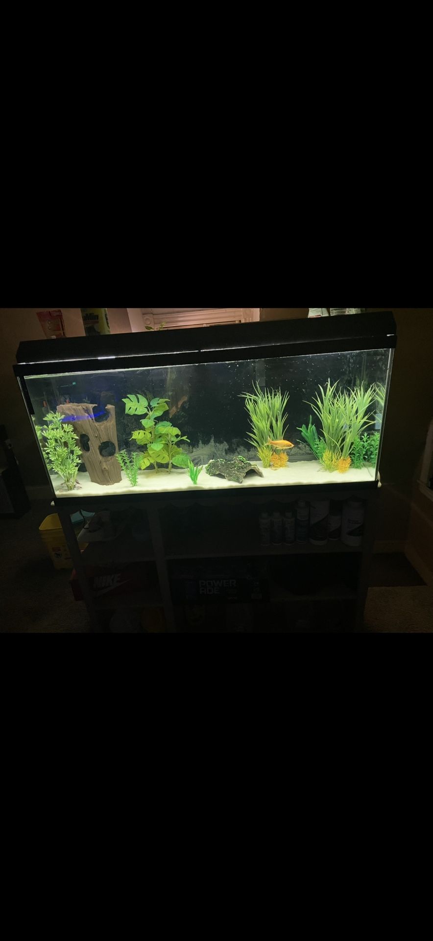 Full Setups And Just Tanks 