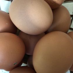 Free Range Chicken Eggs