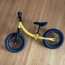 Toddler Bike (2-3 T)