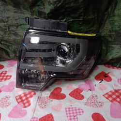 2009-14 Ford F-150 Left Headlight 