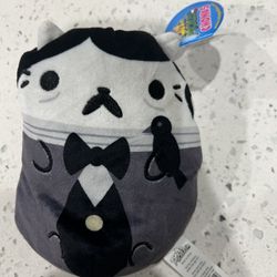 Cat vs pickles Edgar Chonk