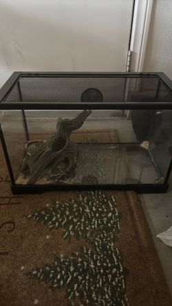 10 gallon tank