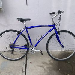 Specialized Crossroads Bike 20”