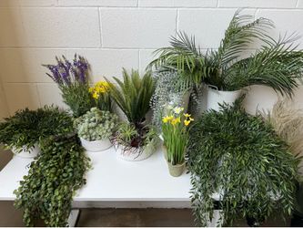 Home Decor Artificial Plants (Brand: Sullivans)