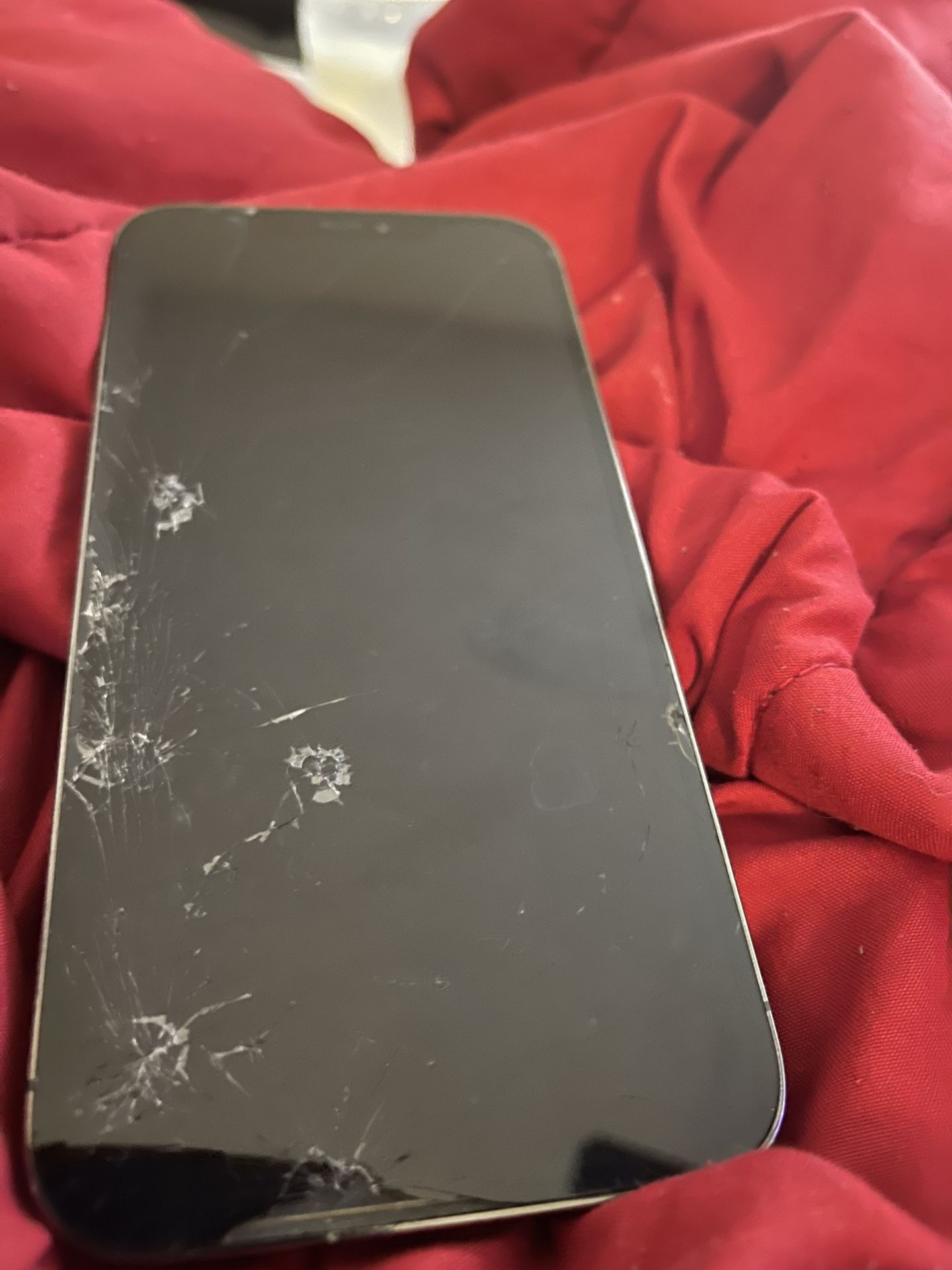 iPhone 12 Pro Max With TikTok