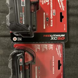 Milwaukee 5.0 & 2.0 Battery