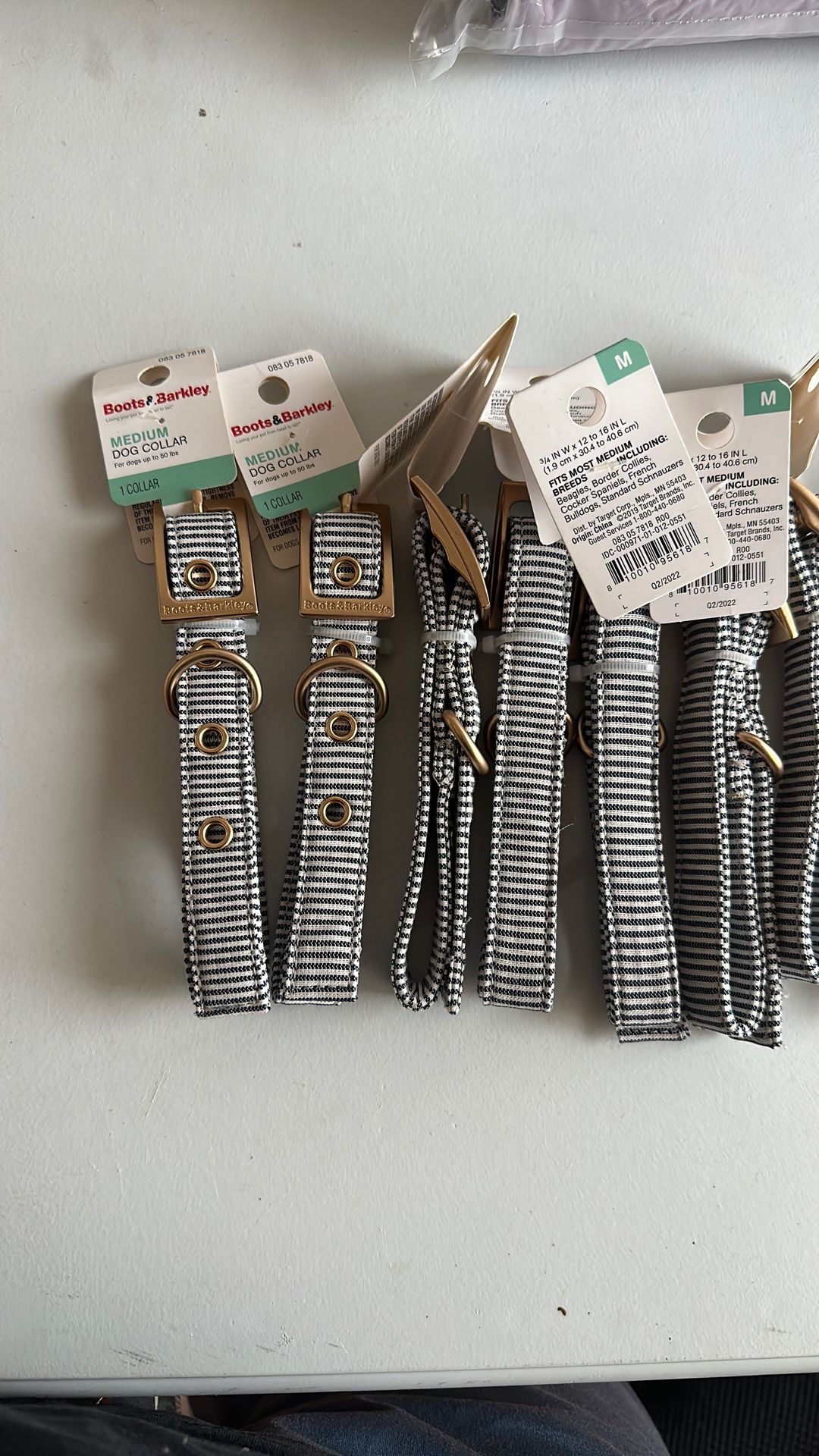 Medium Dog Collar 