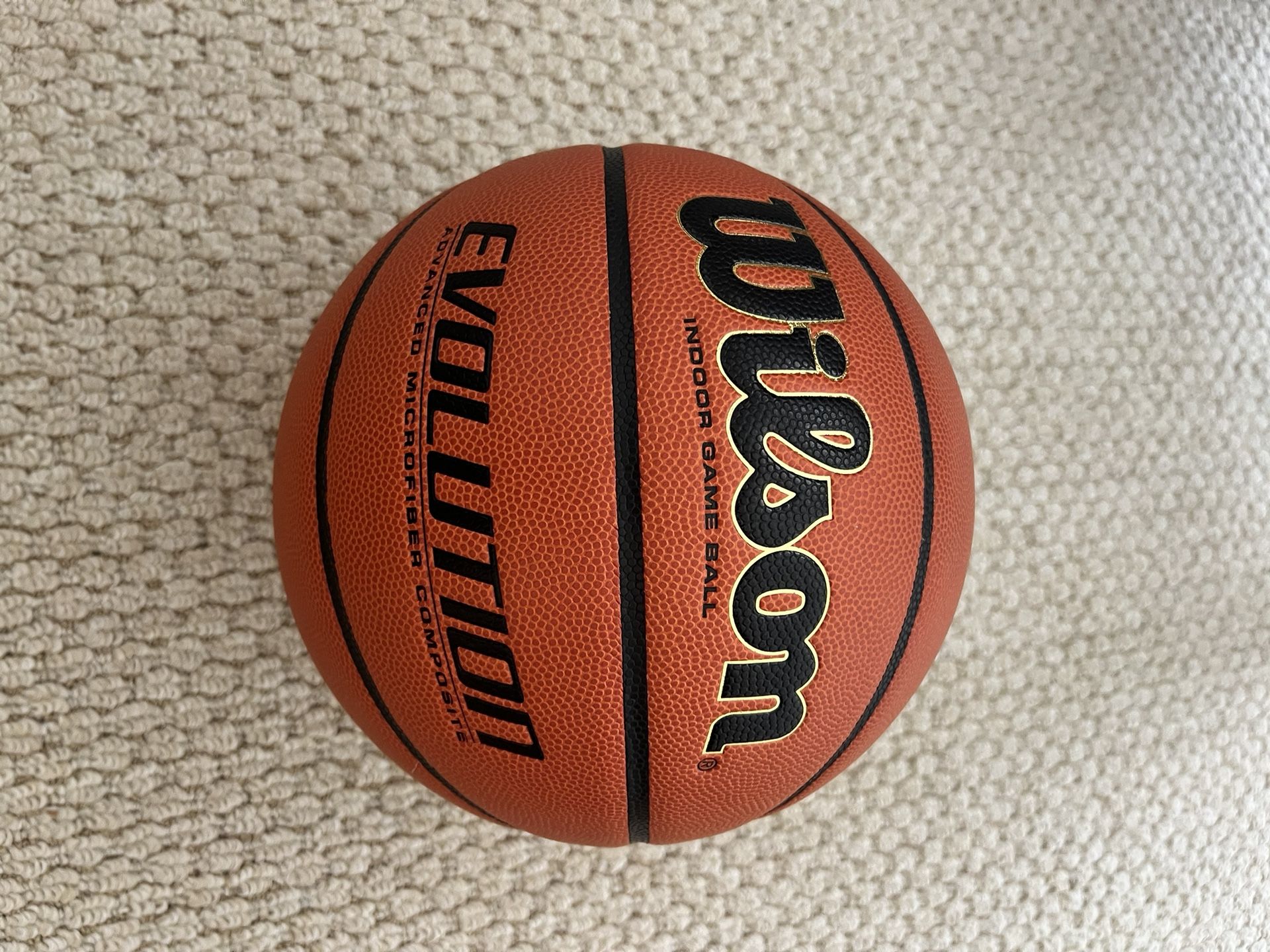Wilson Evolution Basketball