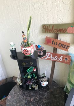 Small natural succulent arrangement