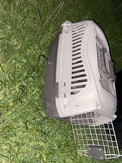Pet Carrier 