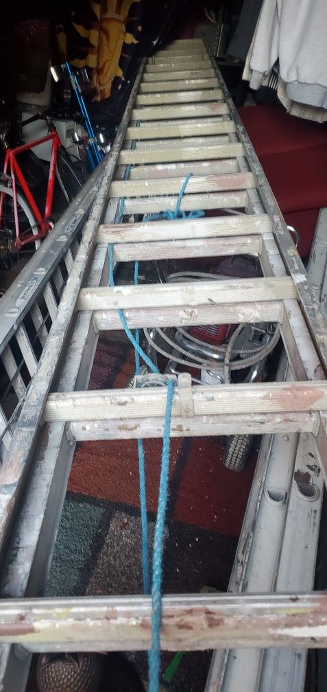 Ladder