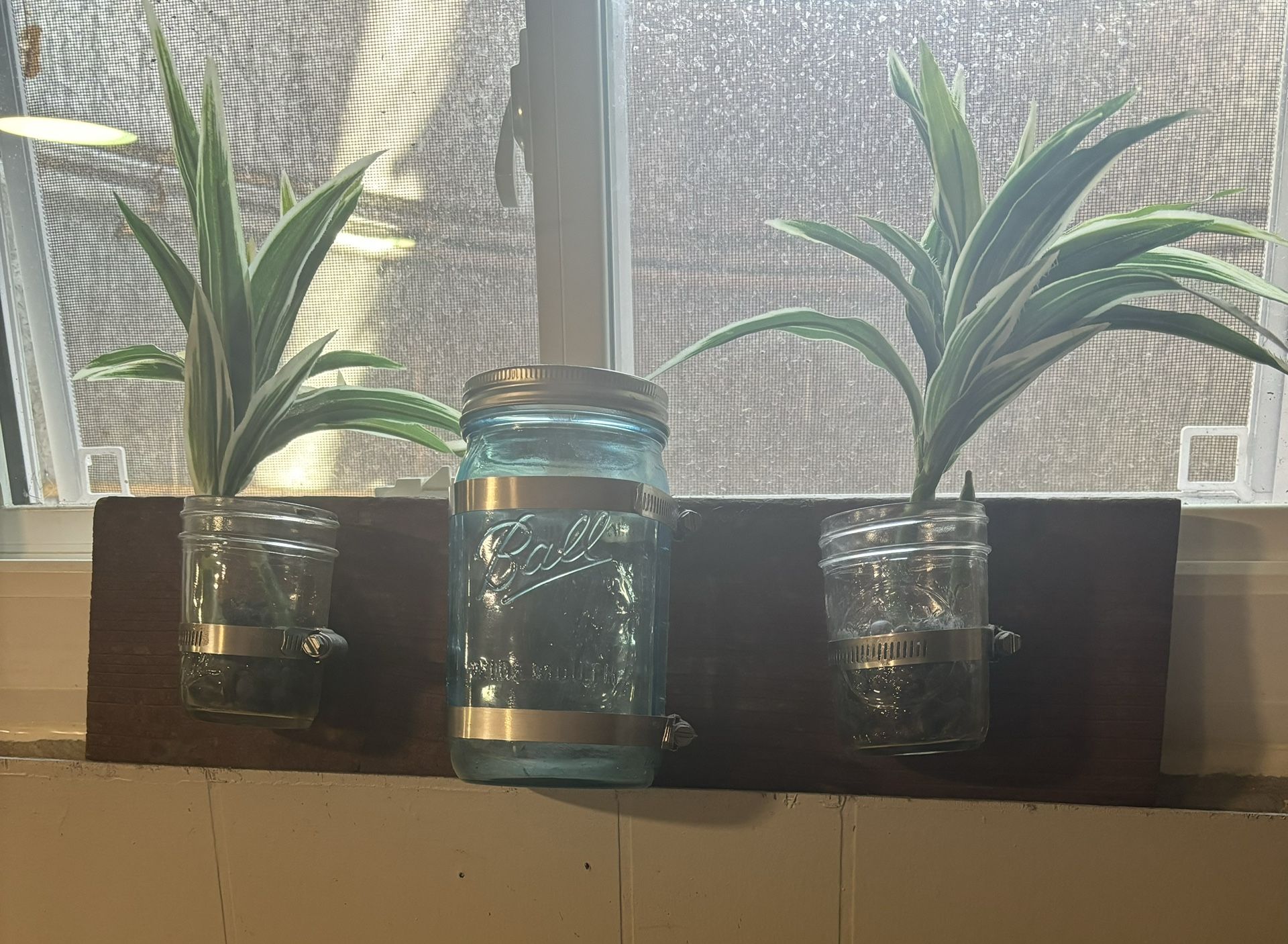 Rustic Plant Ball Jar Wall Hanger