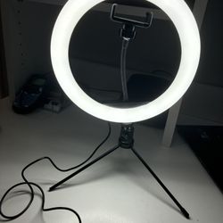 Mini right light 
