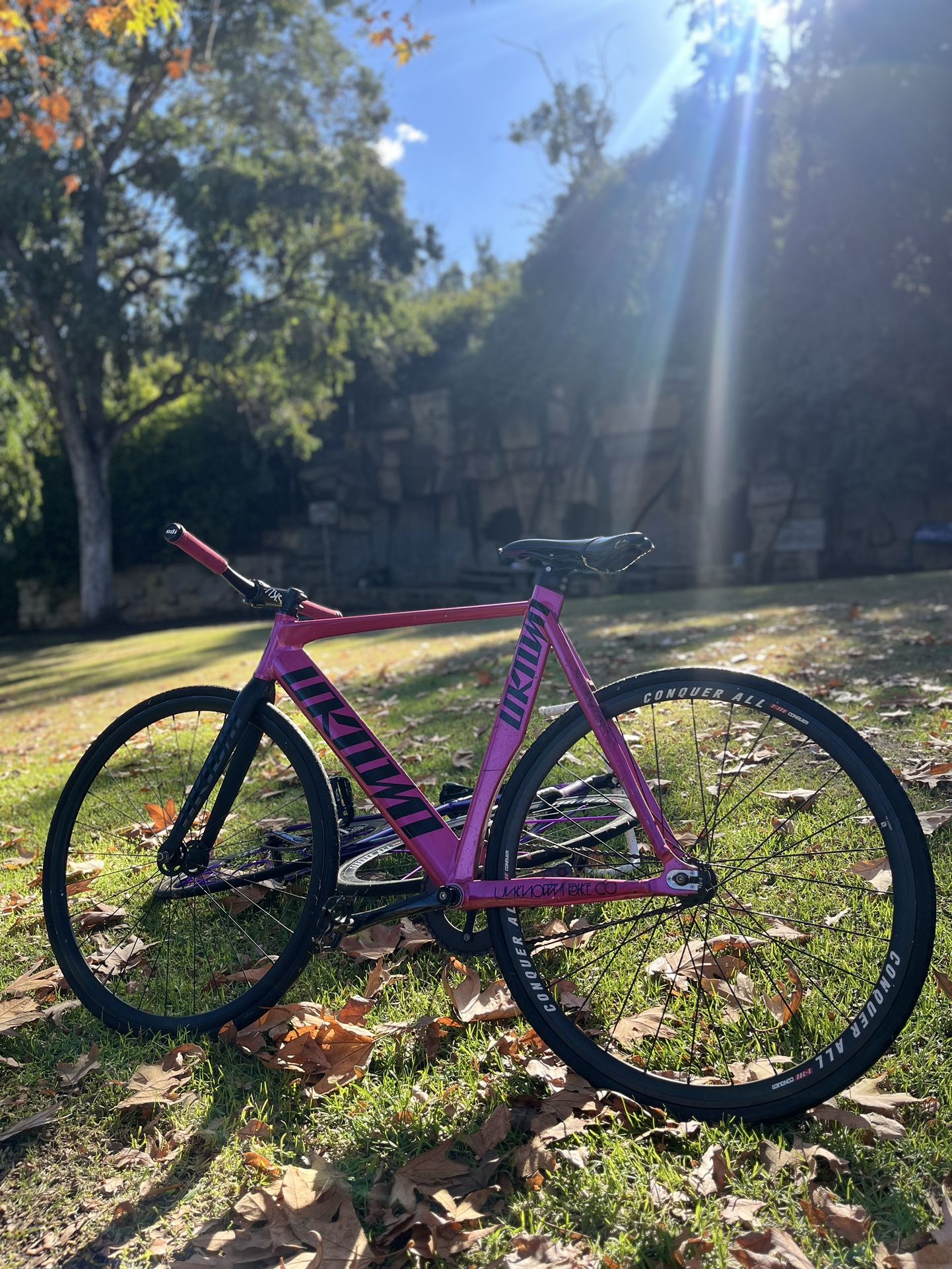 Pink Unknown Bike