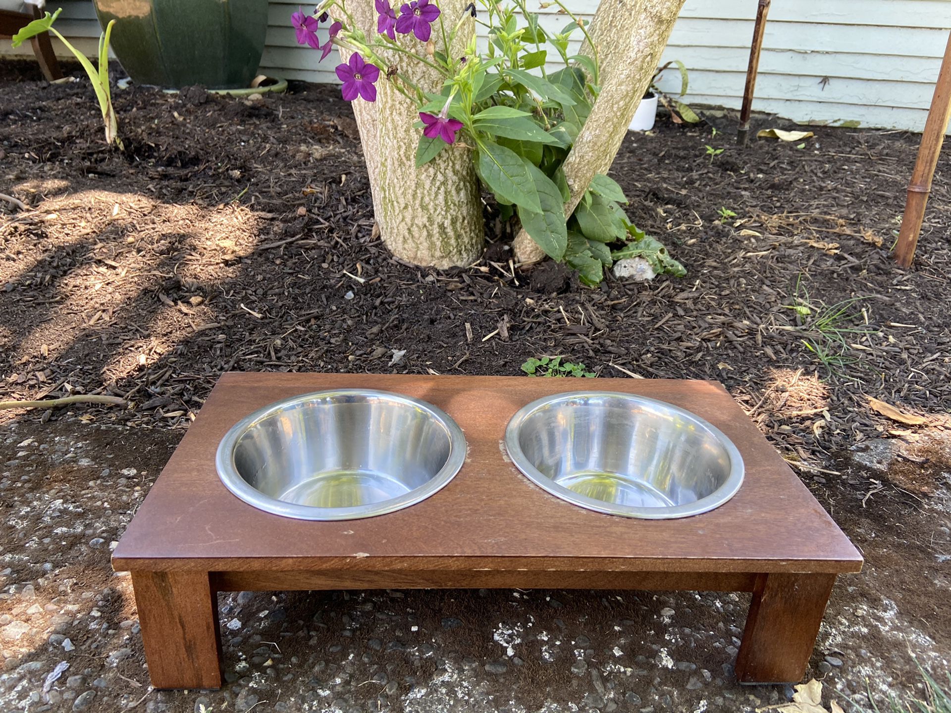 Dog Bowls With Stand