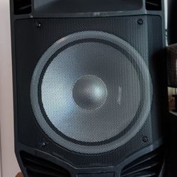 2 Dj Speakers From Costco  