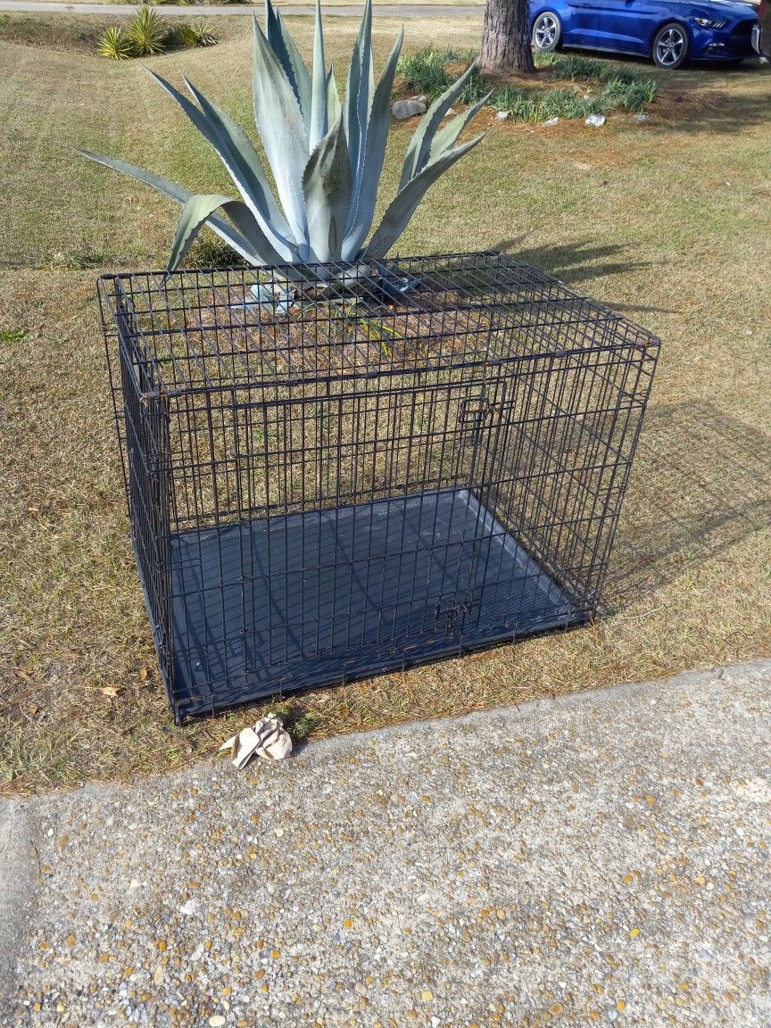 Adult Dog Pen