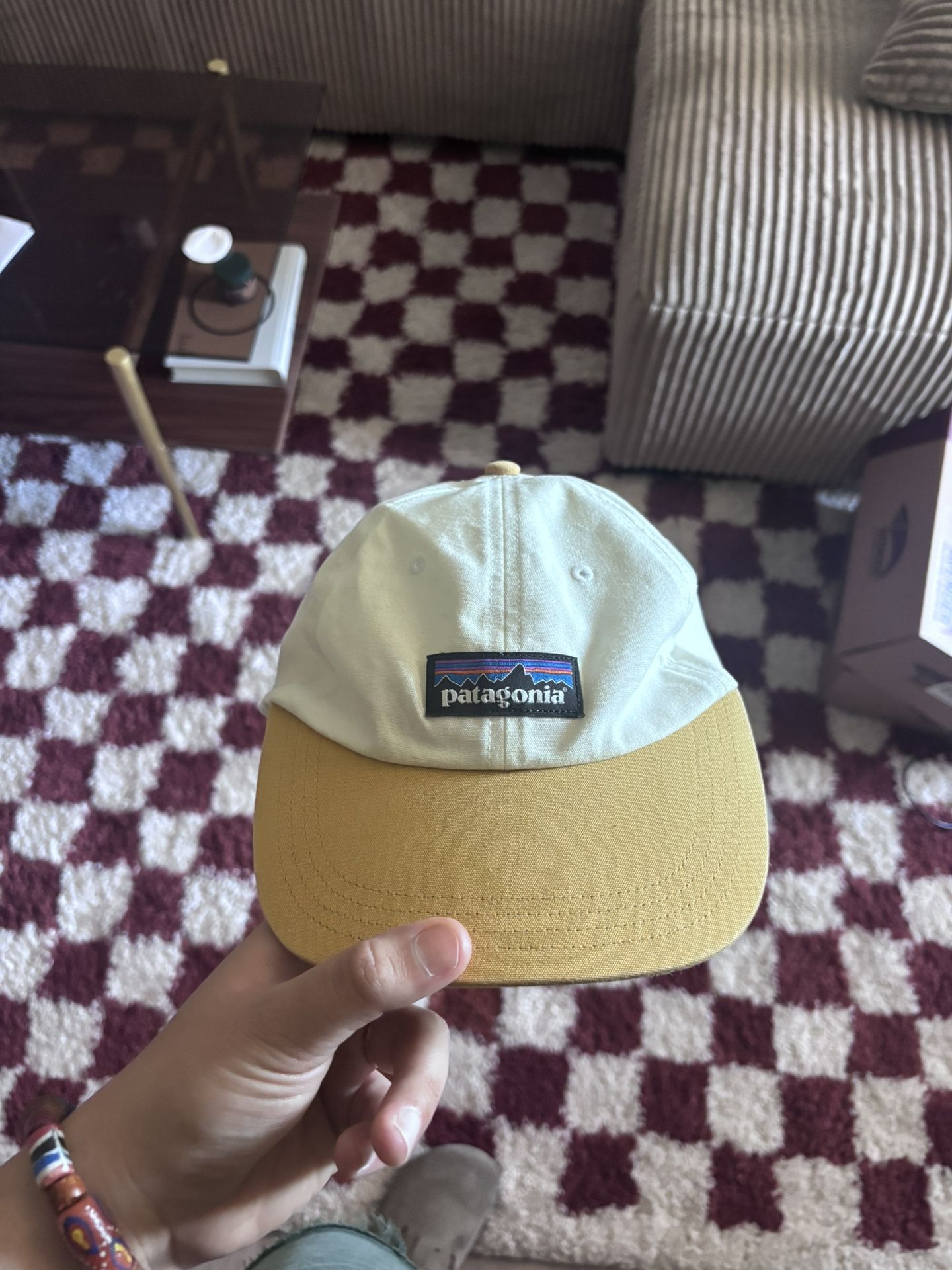 Brand New Patagonia Hat