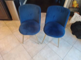2 Blue West Elm Chairs