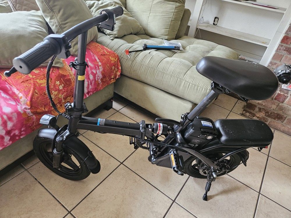 Adult/teens Electric Bike 2 Seater