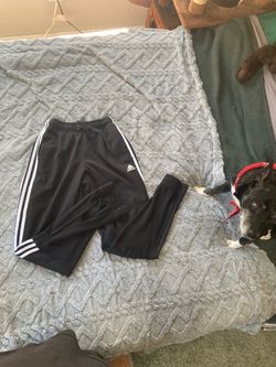 Sweat pants