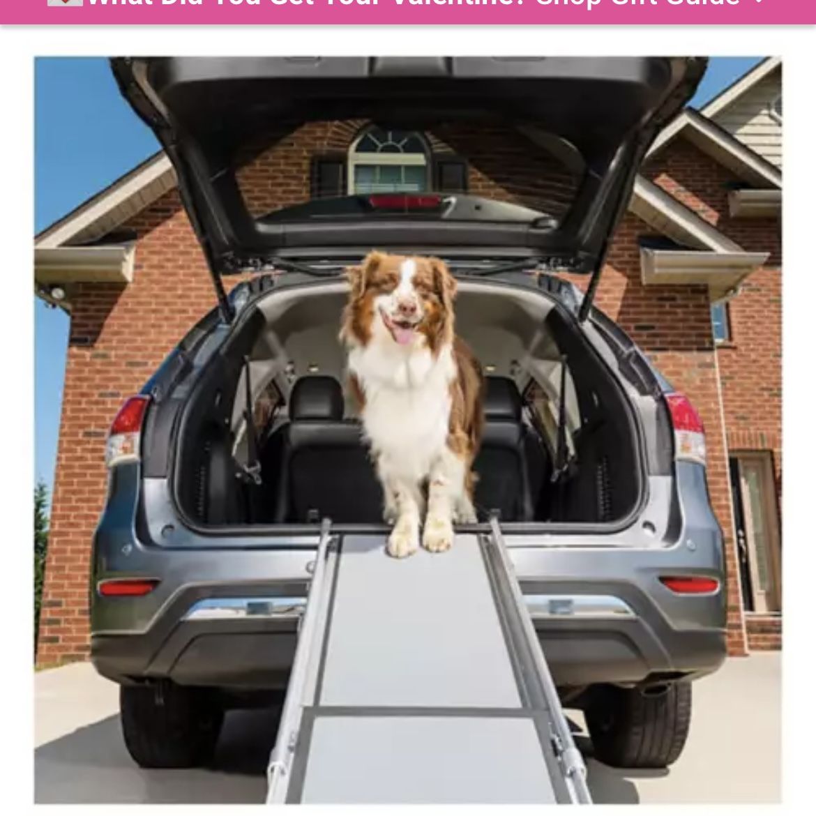 PetSafe SolvIt Telescoping Aluminum Pet Ramp for Sale in Redwood City, CA OfferUp