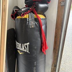 Punching Bag And Gloves – Must Go – $60