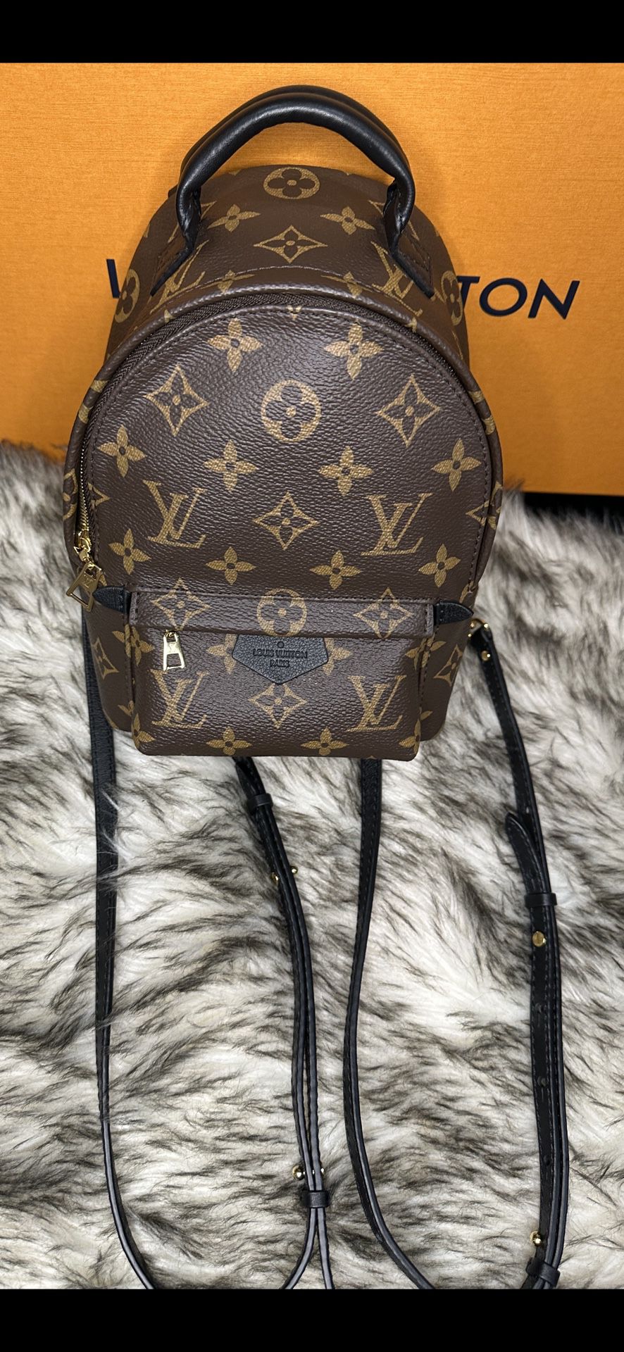 Louis Vuitton Palm Springs Mini Backpack for Sale in Houston, TX