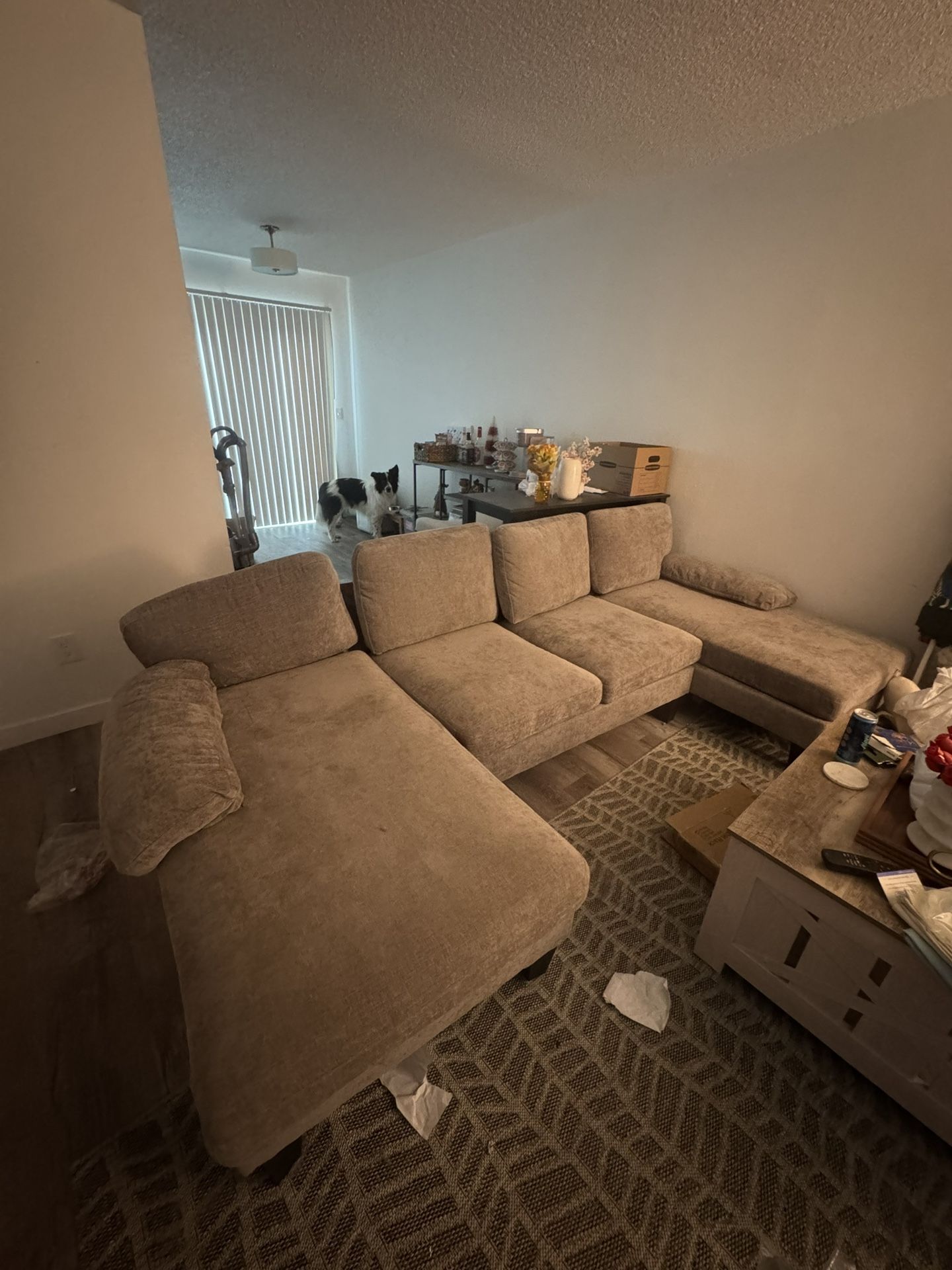 Grey Sectional Couch