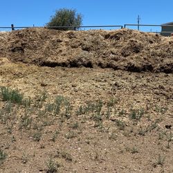 Compost 100 Dollars A Truck Load