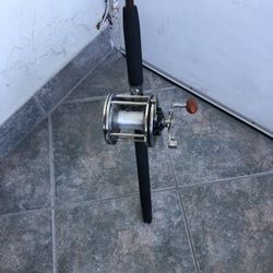 Penn Senator 6/0 on Penn Long Beach Rod