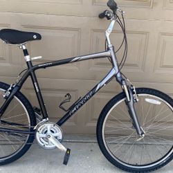 Giant Mountain bike