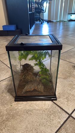 Glass Reptile Terrarium with Screen Lid