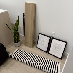 Rug, Plant, Floating Shelf And Frames 